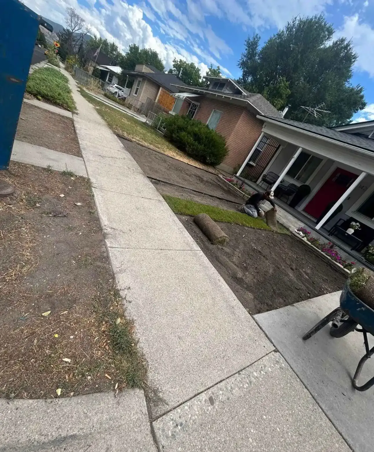 Irrigation and landscape repair